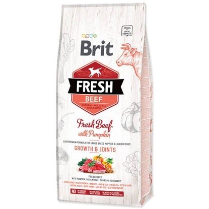 Picture of Brit Fresh Puppy Large Beef & Pumpkin | Joint Support